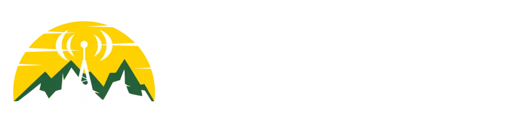 TowerSight logo